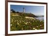 Pigeon Point Spring Vista, California-George Oze-Framed Photographic Print