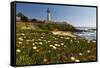 Pigeon Point Spring Vista, California-George Oze-Framed Stretched Canvas