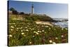 Pigeon Point Spring Vista, California-George Oze-Stretched Canvas