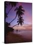 Pigeon Point, Tobago, Caribbean, West Indies-John Miller-Stretched Canvas
