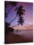 Pigeon Point, Tobago, Caribbean, West Indies-John Miller-Stretched Canvas