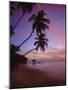 Pigeon Point, Tobago, Caribbean, West Indies-John Miller-Mounted Photographic Print