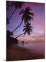 Pigeon Point, Tobago, Caribbean, West Indies-John Miller-Mounted Photographic Print