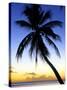 Pigeon Point, Tobago, Caribbean-Doug Pearson-Stretched Canvas