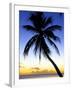 Pigeon Point, Tobago, Caribbean-Doug Pearson-Framed Photographic Print