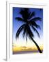 Pigeon Point, Tobago, Caribbean-Doug Pearson-Framed Photographic Print