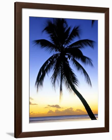 Pigeon Point, Tobago, Caribbean-Doug Pearson-Framed Photographic Print