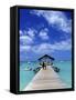 Pigeon Point, Tobago, Caribbean-Doug Pearson-Framed Stretched Canvas