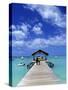 Pigeon Point, Tobago, Caribbean-Doug Pearson-Stretched Canvas