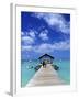 Pigeon Point, Tobago, Caribbean-Doug Pearson-Framed Photographic Print