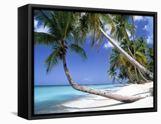 Pigeon Point, Tobago, Trinidad and Tobago-Peter Adams-Framed Stretched Canvas