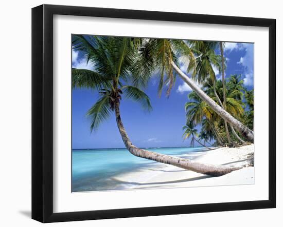 Pigeon Point, Tobago, Trinidad and Tobago-Peter Adams-Framed Premium Photographic Print