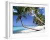 Pigeon Point, Tobago, Trinidad and Tobago-Peter Adams-Framed Premium Photographic Print