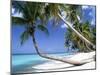 Pigeon Point, Tobago, Trinidad and Tobago-Peter Adams-Mounted Premium Photographic Print