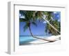 Pigeon Point, Tobago, Trinidad and Tobago-Peter Adams-Framed Photographic Print