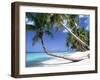 Pigeon Point, Tobago, Trinidad and Tobago-Peter Adams-Framed Photographic Print