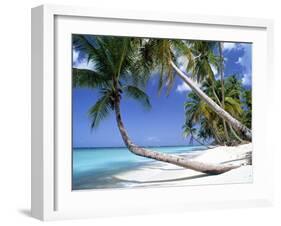 Pigeon Point, Tobago, Trinidad and Tobago-Peter Adams-Framed Photographic Print