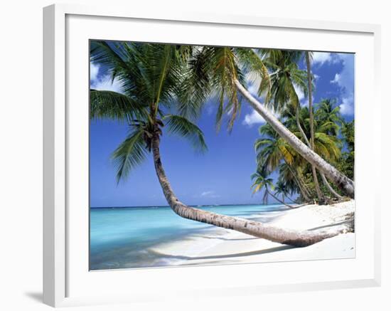 Pigeon Point, Tobago, Trinidad and Tobago-Peter Adams-Framed Photographic Print