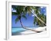 Pigeon Point, Tobago, Trinidad and Tobago-Peter Adams-Framed Photographic Print