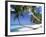 Pigeon Point, Tobago, Trinidad and Tobago-Peter Adams-Framed Photographic Print