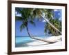 Pigeon Point, Tobago, Trinidad and Tobago-Peter Adams-Framed Photographic Print