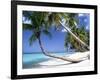 Pigeon Point, Tobago, Trinidad and Tobago-Peter Adams-Framed Photographic Print