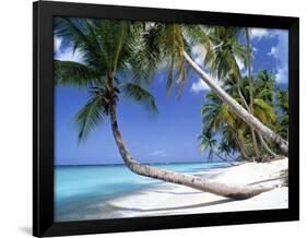 Pigeon Point, Tobago, Trinidad and Tobago-Peter Adams-Framed Photographic Print