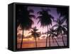 Pigeon Point, Tobago, Trinidad and Tobago-Peter Adams-Framed Stretched Canvas