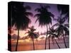 Pigeon Point, Tobago, Trinidad and Tobago-Peter Adams-Stretched Canvas