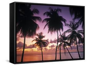 Pigeon Point, Tobago, Trinidad and Tobago-Peter Adams-Framed Stretched Canvas