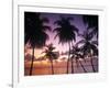 Pigeon Point, Tobago, Trinidad and Tobago-Peter Adams-Framed Photographic Print