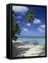 Pigeon Point, Tobago, West Indies, Caribbean, Central America-Miller John-Framed Stretched Canvas