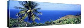 Pigeon Point Tobago-null-Stretched Canvas