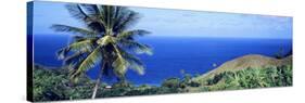 Pigeon Point Tobago-null-Stretched Canvas