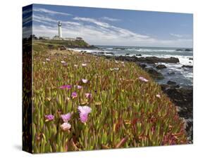 Pigeon Point-Michael Polk-Stretched Canvas