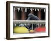 Pigeon Slides Along the Ice in Downtown San Antonio,-null-Framed Photographic Print