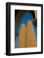 Pigeon Towers, Katara Cultural Village, Doha, Qatar, Middle East-Frank Fell-Framed Photographic Print