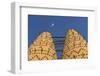 Pigeon Towers, Katara Cultural Village, Doha, Qatar-Peter Adams-Framed Photographic Print