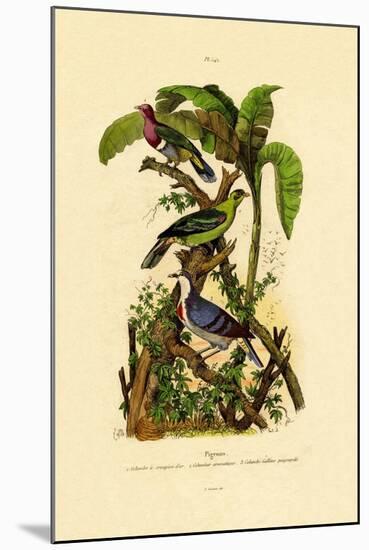 Pigeons, 1833-39-null-Mounted Giclee Print