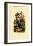 Pigeons, 1833-39-null-Framed Giclee Print