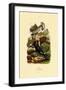 Pigeons, 1833-39-null-Framed Giclee Print