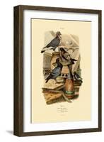 Pigeons, 1833-39-null-Framed Giclee Print