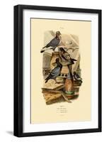 Pigeons, 1833-39-null-Framed Giclee Print