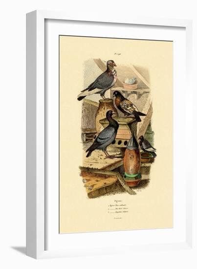 Pigeons, 1833-39-null-Framed Giclee Print