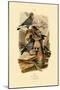 Pigeons, 1833-39-null-Mounted Premium Giclee Print