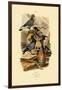 Pigeons, 1833-39-null-Framed Giclee Print