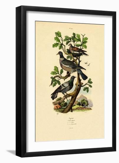 Pigeons, 1833-39-null-Framed Premium Giclee Print