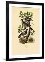 Pigeons, 1833-39-null-Framed Giclee Print