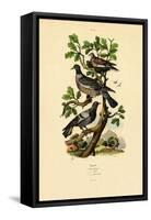 Pigeons, 1833-39-null-Framed Stretched Canvas