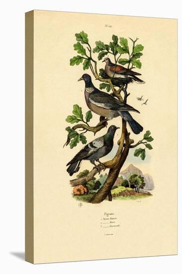 Pigeons, 1833-39-null-Stretched Canvas